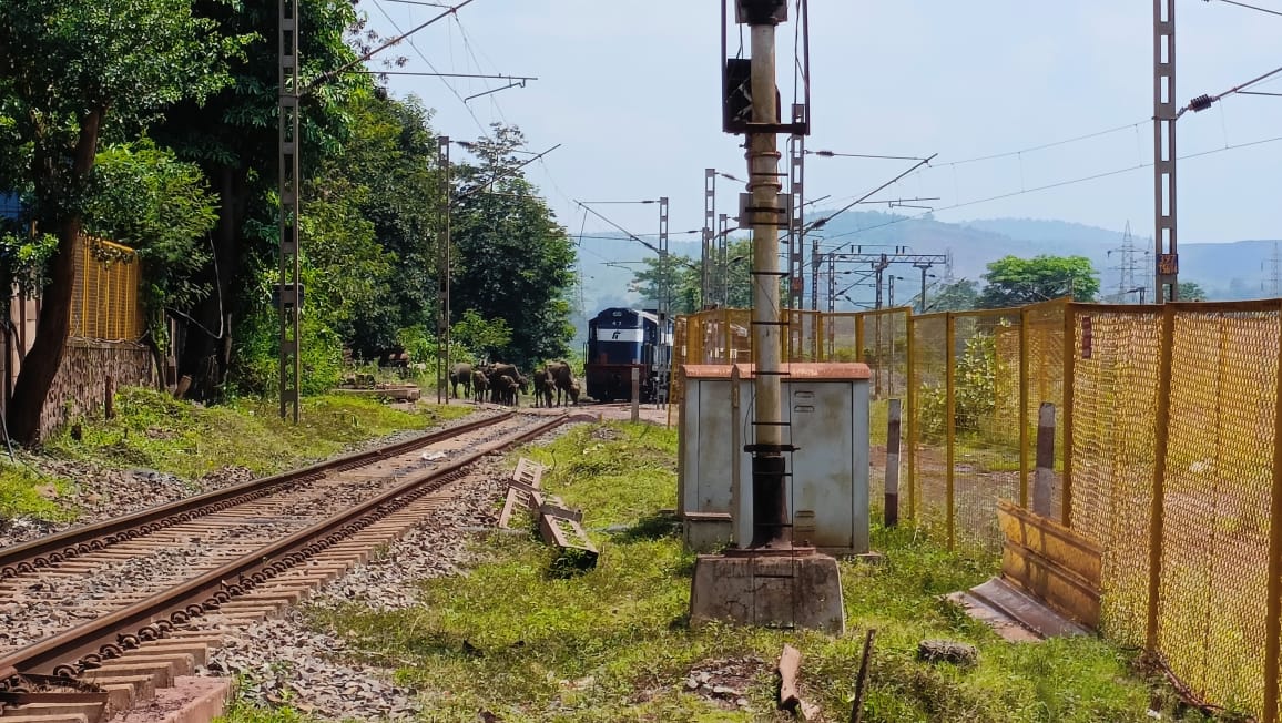 Tata Steel Yard Infrastructure Management